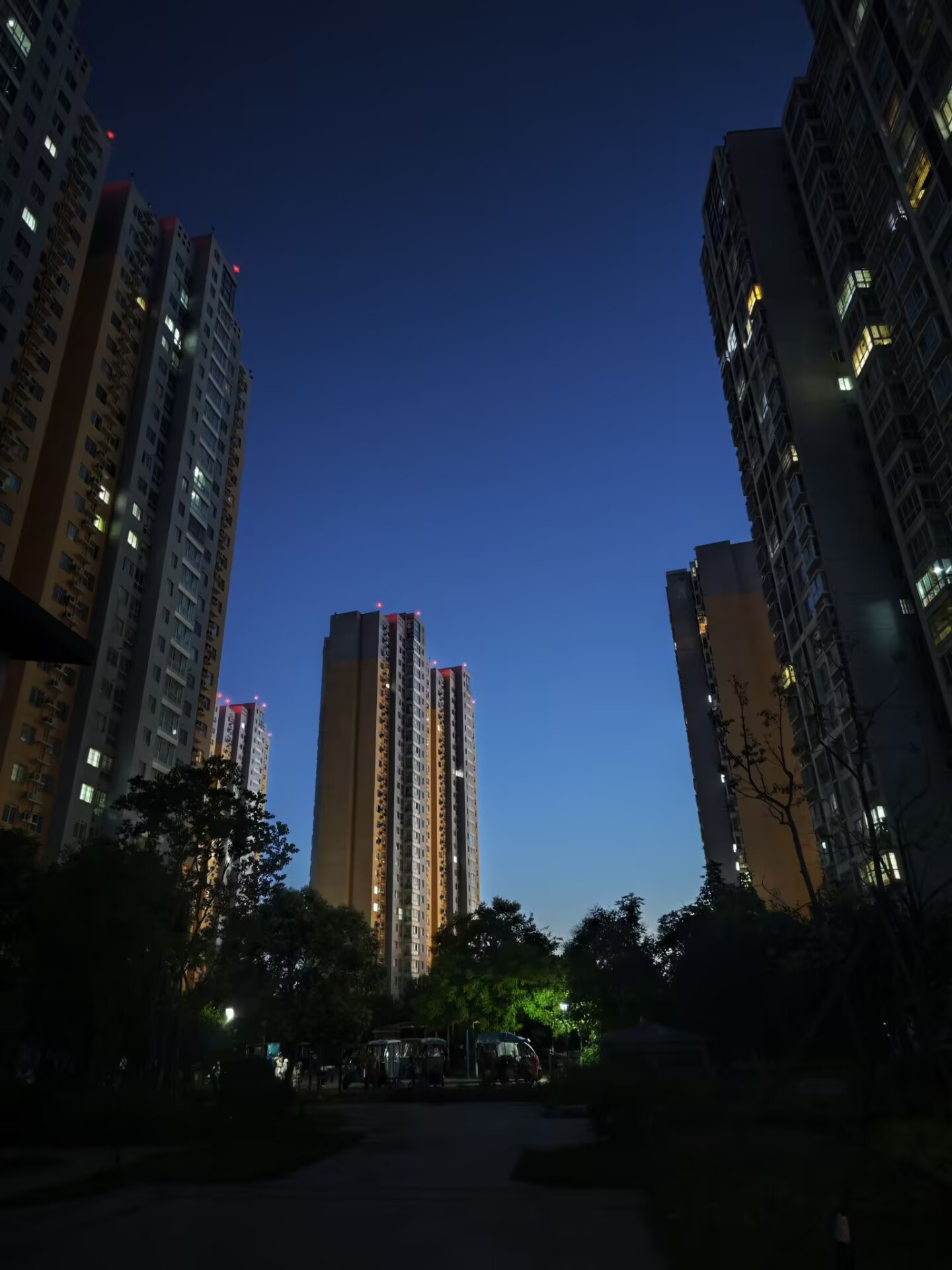 情侣照片