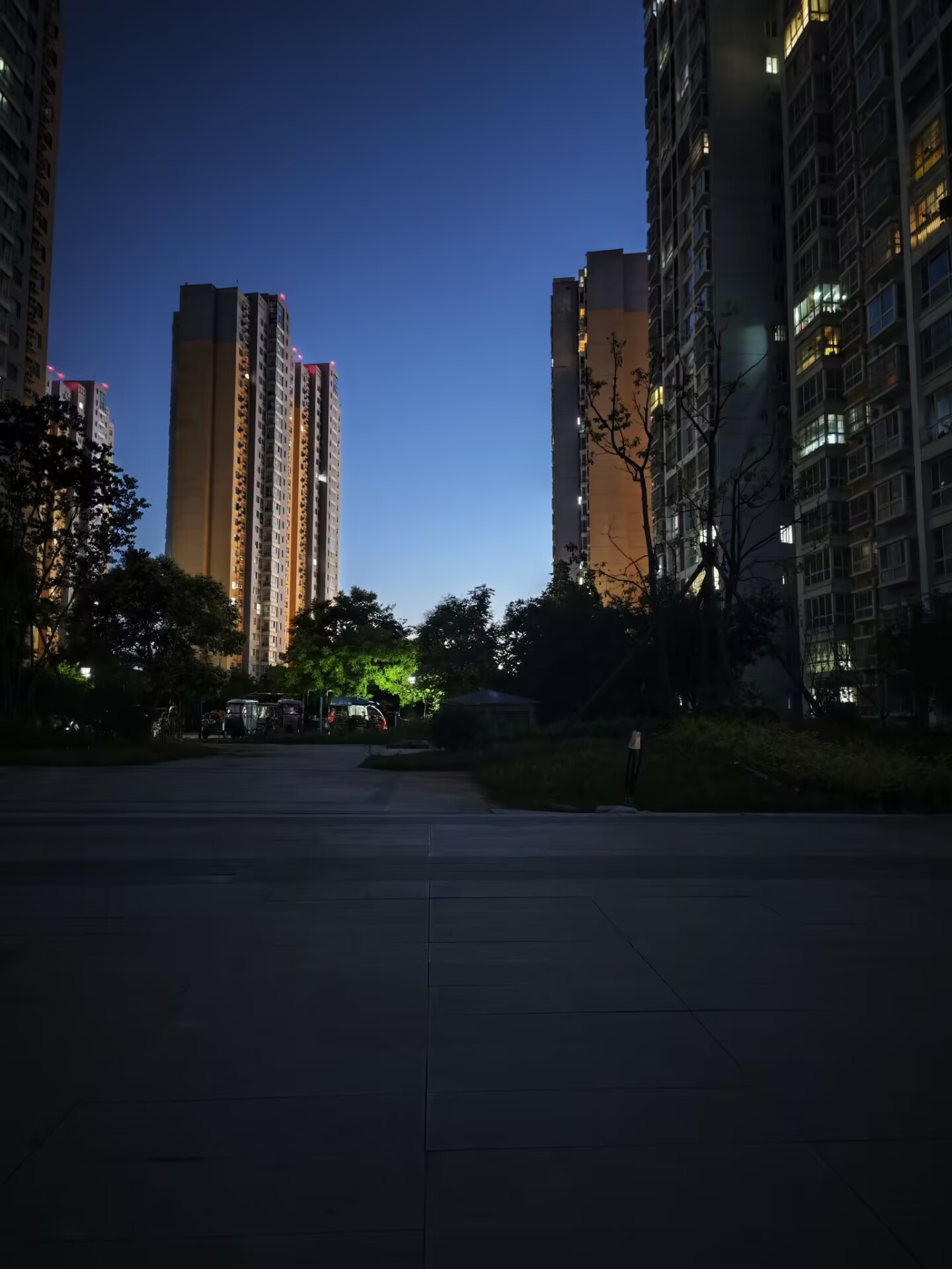 情侣照片