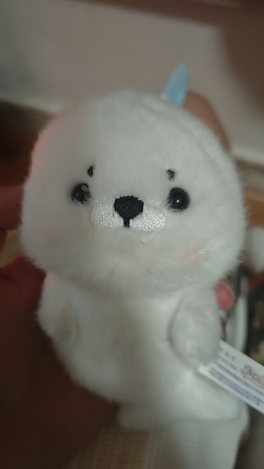 情侣照片